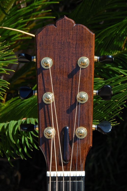 Luthier Mario Beauregard Guitars