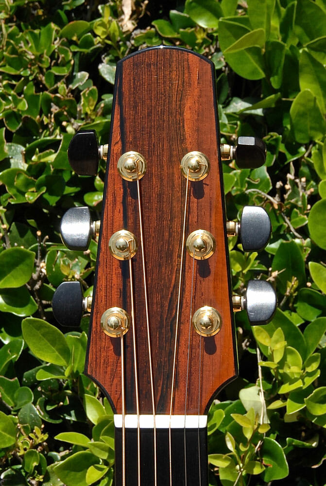 Traugott Guitars - Luthier Jeff Traugott